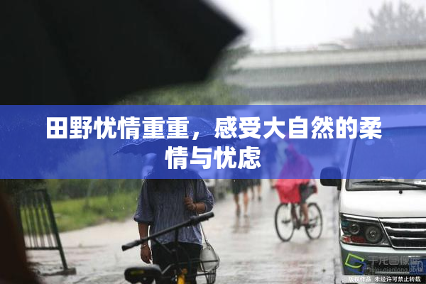 田野忧情重重，感受大自然的柔情与忧虑