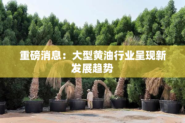 重磅消息：大型黄油行业呈现新发展趋势