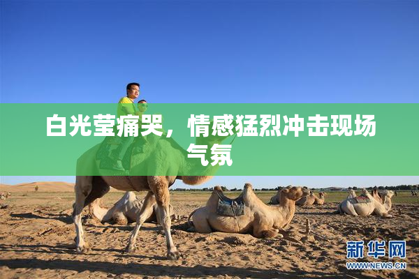 白光莹痛哭，情感猛烈冲击现场气氛