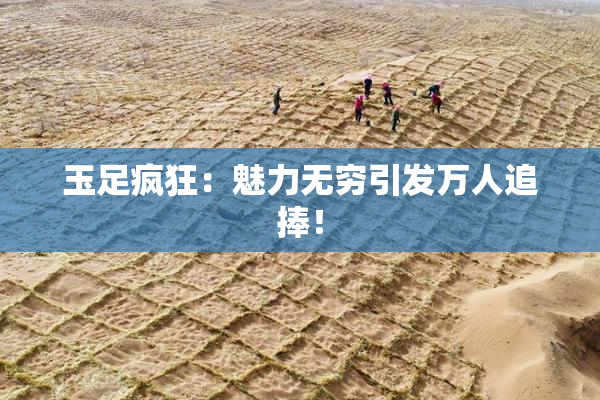 玉足疯狂：魅力无穷引发万人追捧！