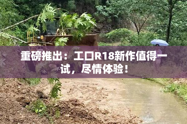 重磅推出：工口R18新作值得一试，尽情体验！