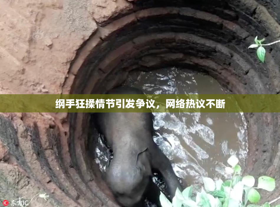 纲手狂揉情节引发争议，网络热议不断