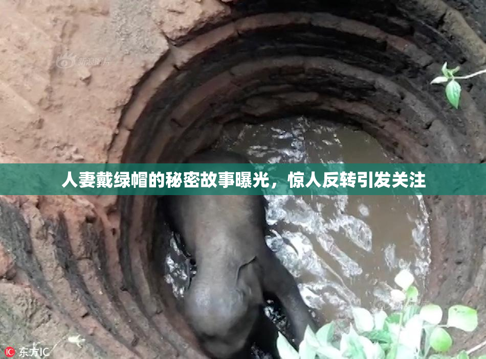 人妻戴绿帽的秘密故事曝光，惊人反转引发关注