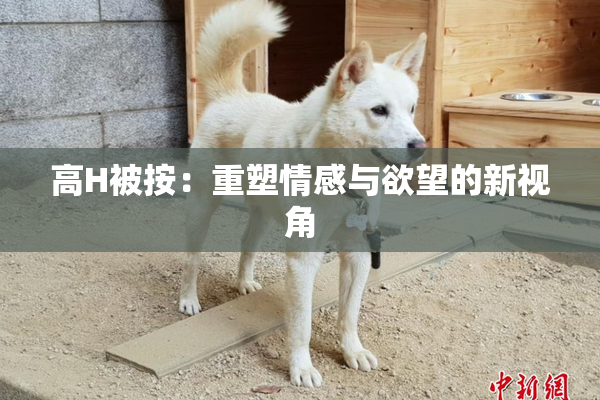 高H被按：重塑情感与欲望的新视角