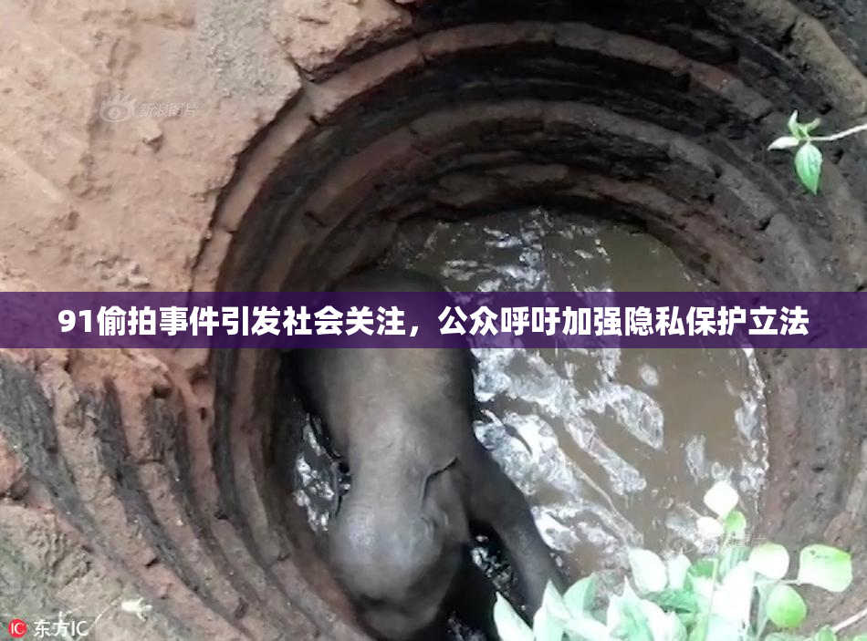 91偷拍事件引发社会关注，公众呼吁加强隐私保护立法