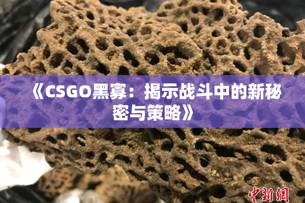 《CSGO黑寡：揭示战斗中的新秘密与策略》