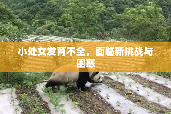 小处女发育不全，面临新挑战与困惑