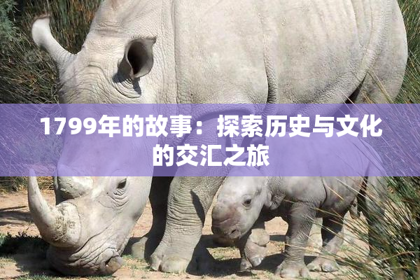 1799年的故事：探索历史与文化的交汇之旅
