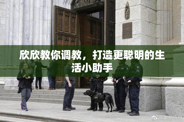 欣欣教你调教，打造更聪明的生活小助手