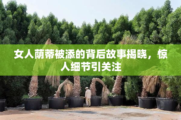 女人荫蒂被添的背后故事揭晓，惊人细节引关注