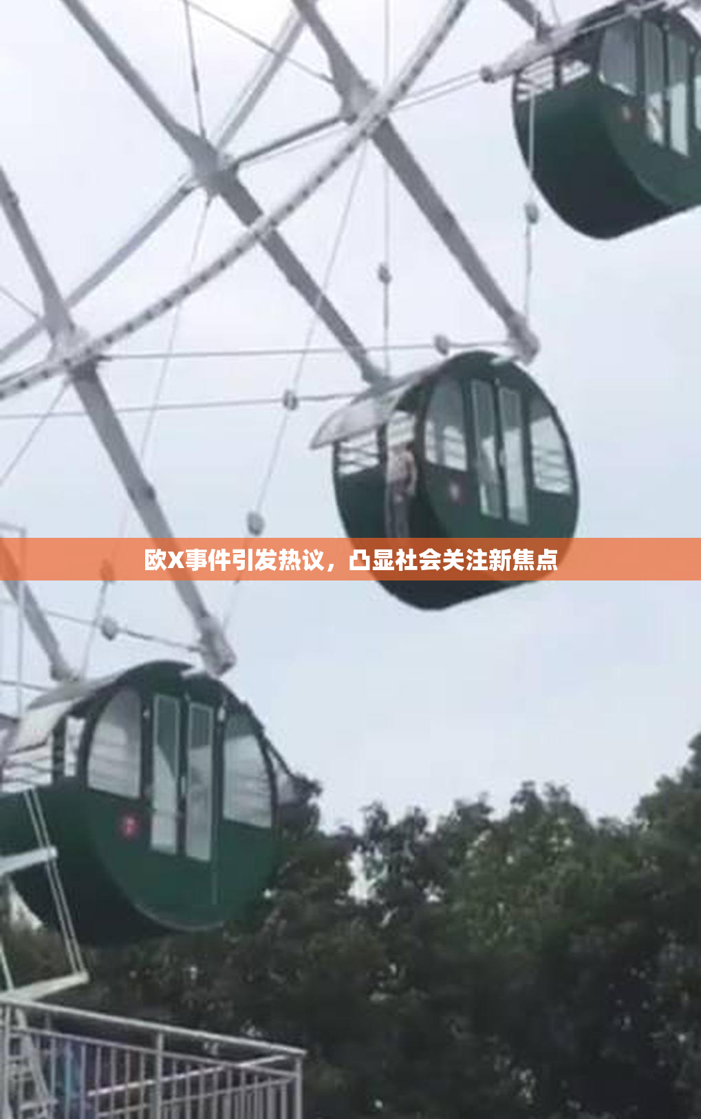 欧X事件引发热议，凸显社会关注新焦点