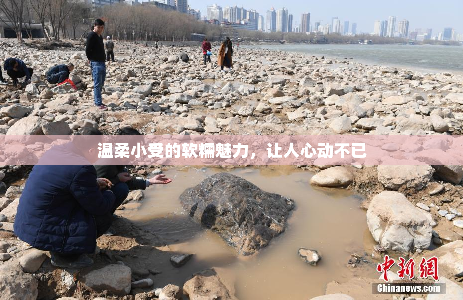 温柔小受的软糯魅力，让人心动不已