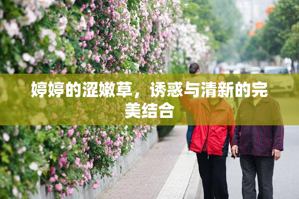 婷婷的涩嫩草，诱惑与清新的完美结合