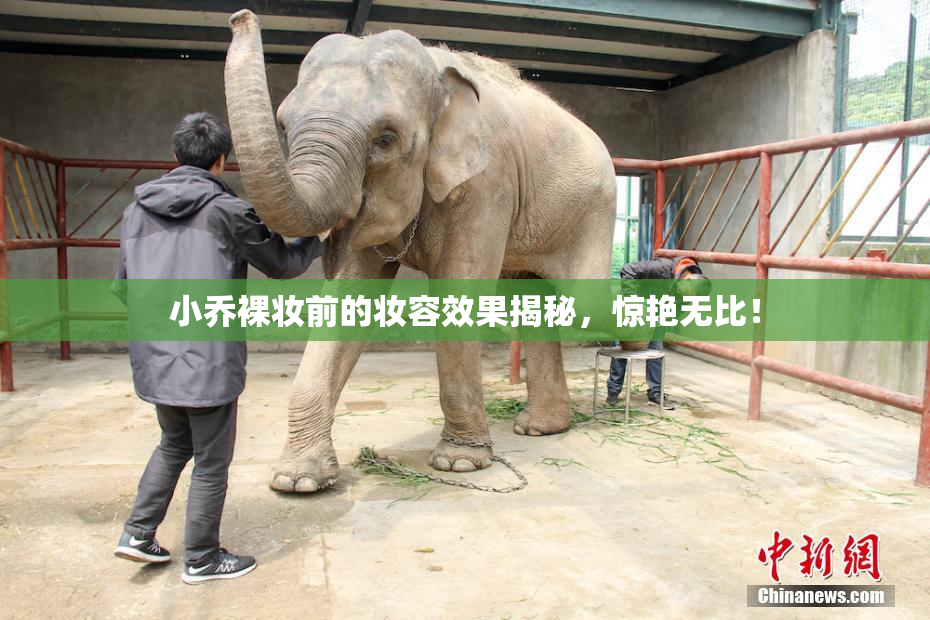 小乔裸妆前的妆容效果揭秘，惊艳无比！