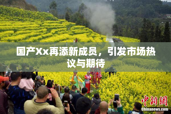 国产Xx再添新成员，引发市场热议与期待