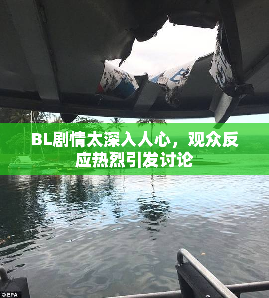 BL剧情太深入人心，观众反应热烈引发讨论