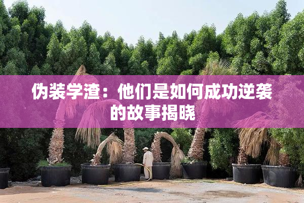 伪装学渣：他们是如何成功逆袭的故事揭晓