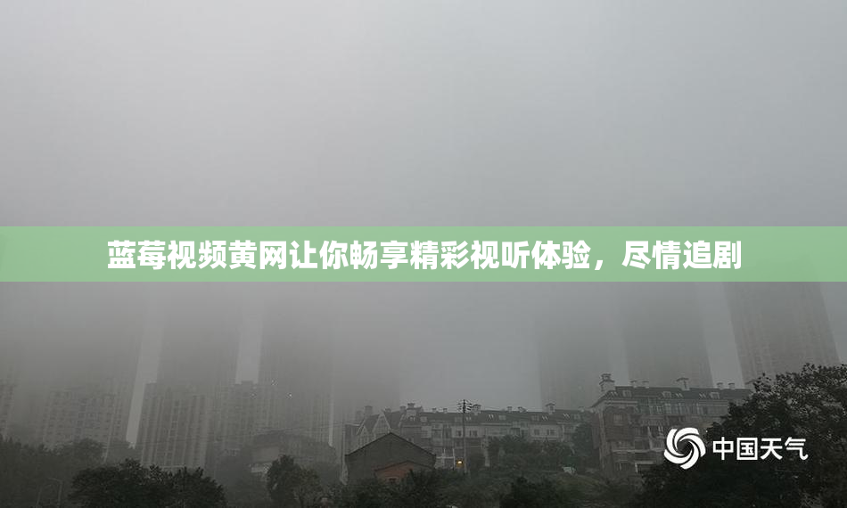 蓝莓视频黄网让你畅享精彩视听体验，尽情追剧