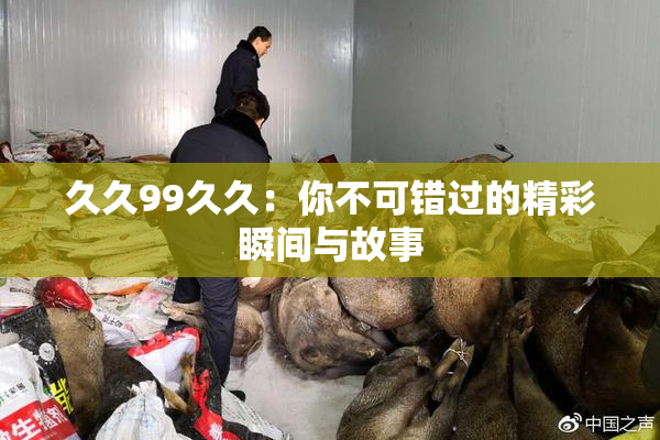 久久99久久：你不可错过的精彩瞬间与故事