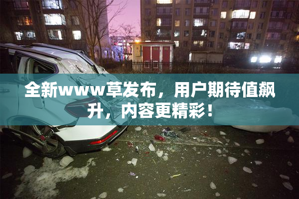 全新www草发布，用户期待值飙升，内容更精彩！