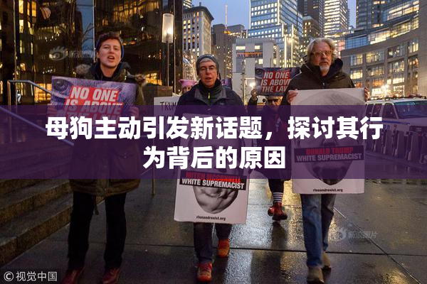 母狗主动引发新话题，探讨其行为背后的原因
