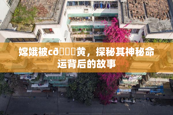 嫦娥被c🔞黄，探秘其神秘命运背后的故事