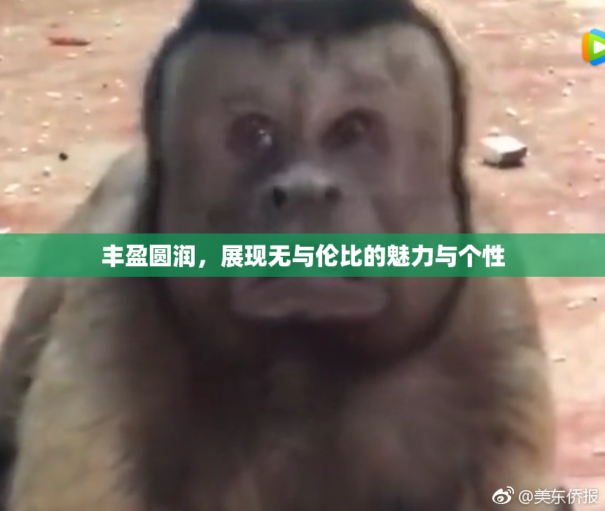 丰盈圆润，展现无与伦比的魅力与个性