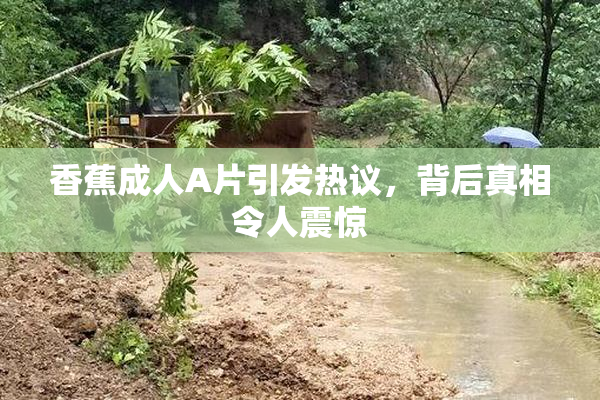 香蕉成人A片引发热议，背后真相令人震惊