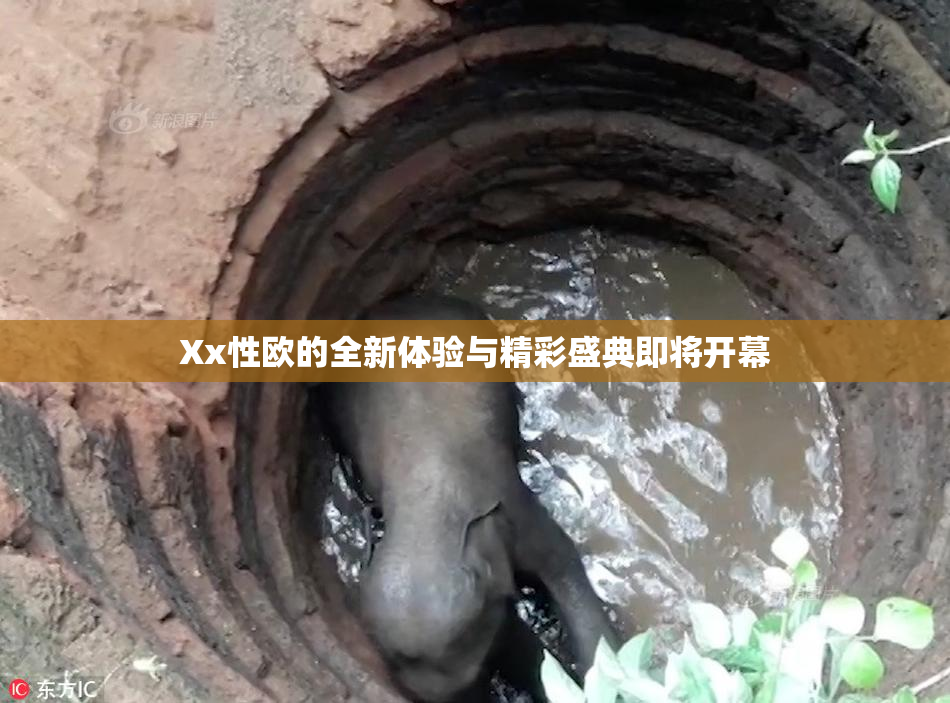 Xx性欧的全新体验与精彩盛典即将开幕