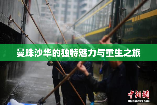 曼珠沙华的独特魅力与重生之旅