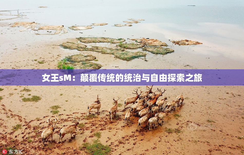 女王sM：颠覆传统的统治与自由探索之旅