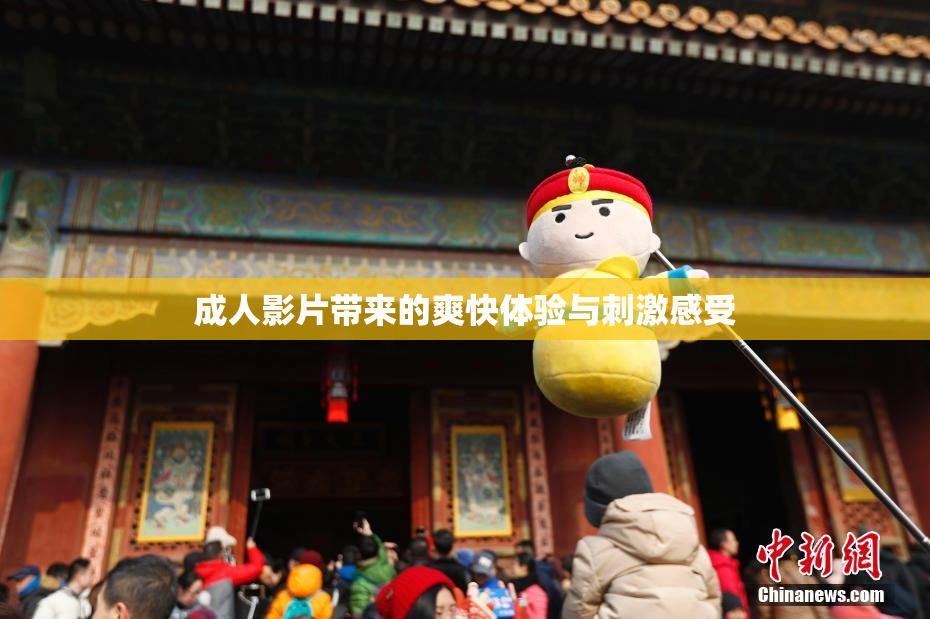 成人影片带来的爽快体验与刺激感受