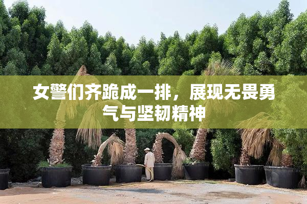 女警们齐跪成一排，展现无畏勇气与坚韧精神