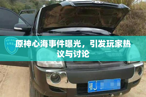 原神心海事件曝光，引发玩家热议与讨论