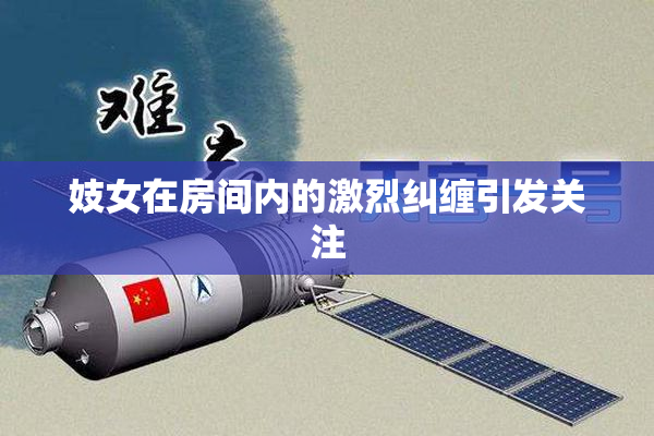 妓女在房间内的激烈纠缠引发关注