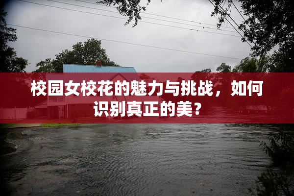 校园女校花的魅力与挑战，如何识别真正的美？
