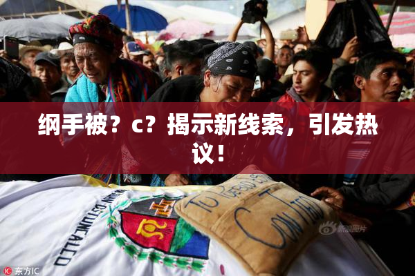 纲手被？c？揭示新线索，引发热议！