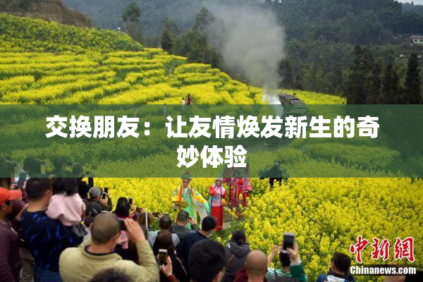 交换朋友：让友情焕发新生的奇妙体验