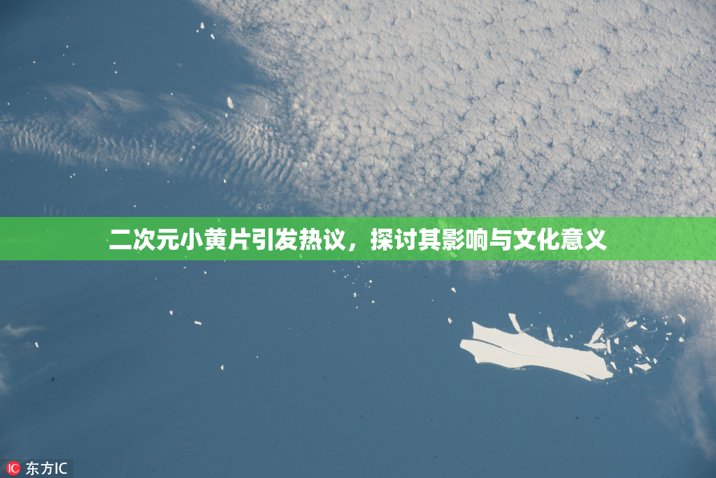 二次元小黄片引发热议，探讨其影响与文化意义