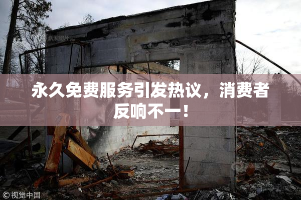 永久免费服务引发热议，消费者反响不一！