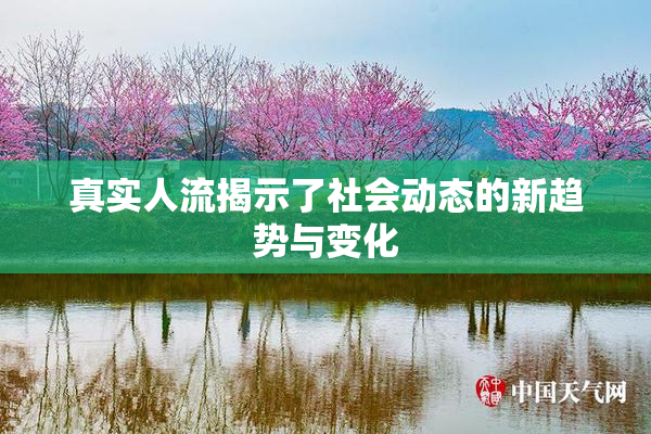 真实人流揭示了社会动态的新趋势与变化
