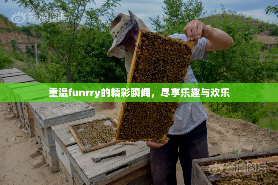重温funrry的精彩瞬间，尽享乐趣与欢乐
