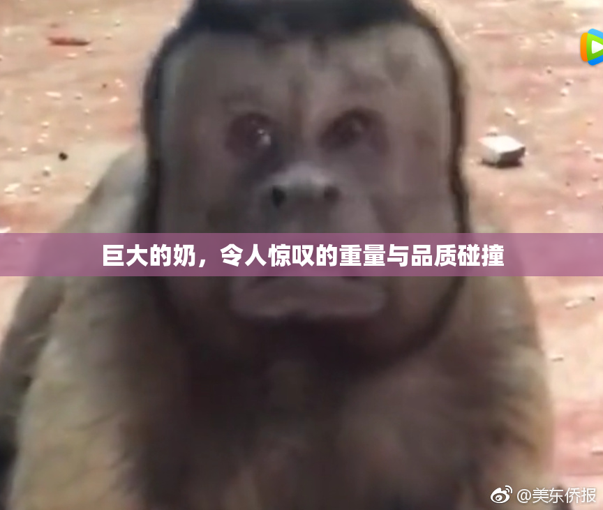 巨大的奶，令人惊叹的重量与品质碰撞