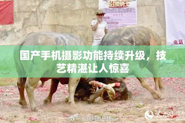 国产手机摄影功能持续升级，技艺精湛让人惊喜