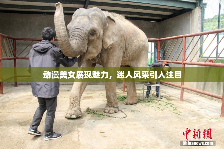 动漫美女展现魅力，迷人风采引人注目