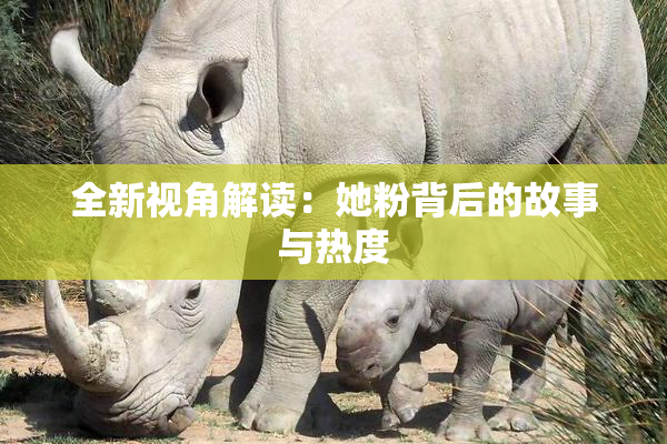 全新视角解读：她粉背后的故事与热度
