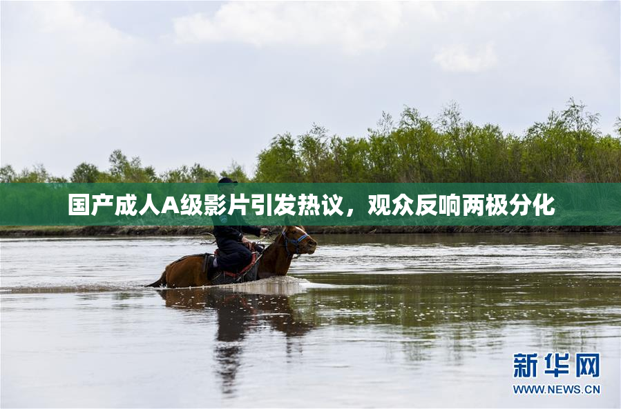 国产成人A级影片引发热议，观众反响两极分化