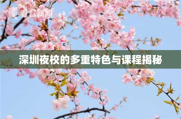 深圳夜校的多重特色与课程揭秘