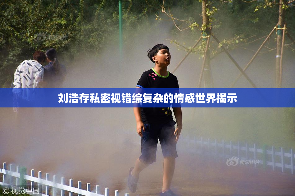 刘浩存私密视错综复杂的情感世界揭示