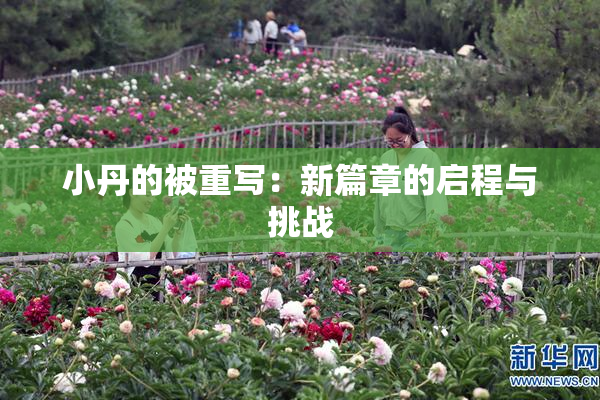 小丹的被重写：新篇章的启程与挑战